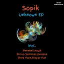 Cover of Unknown - Hawk Remix