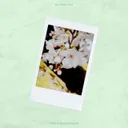 All About you by USAO, Shandy Kubota - Happy Hardcore cover art