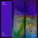 Calling Out by USAO - Happy Hardcore cover art