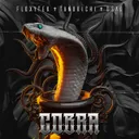 Cobra by USAO, Floxytek, Tanukichi - Frenchcore cover art