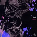 INSANE by USAO - Hardcore cover art