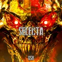 Selecta by USH - Hard Techno cover art