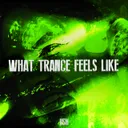 What Trance Feels Like by USH - Hard Techno cover art