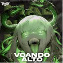 Cover of Vøandø Altø