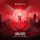 Never Call You Mine by Valido - Hardstyle cover art