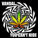 You Can't Hide by Vandal - Frenchcore cover art