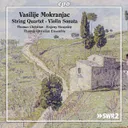 Violin Sonata in G Minor: I. Adagio, grave by Vasilije Mokranjac, Thomas Christian, Evgeny Sinayskiy - Hardstyle cover art