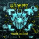 PROGRAM_CONFUSION by Vasto - Rawstyle cover art