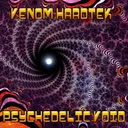Psychedelic Void by Venom Hardtek - Frenchcore cover art