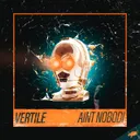 Ain't Nobodi by Vertile - Rawstyle cover art