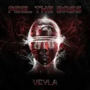 Feel the Bass by Veyla - Hard Techno cover art