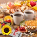 Kk Lekker Ontbijtje by Vieze Asbak, Natte Visstick - Hard Techno cover art