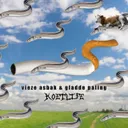 Koetlife by Vieze Asbak, gladde paling - Hard Techno cover art