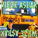 Picobello BV by Vieze Asbak - Hard Techno cover art