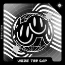 Cover of Vieze T99 Gap