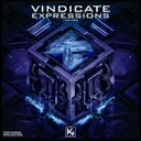 Expressions - Extended by Vindicate - Hardstyle cover art