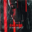 Shamed by Vindicate - Hardstyle cover art