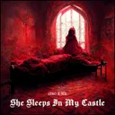 She Sleeps In My Castle by VINO, FLX - Hard Techno cover art