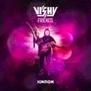 FRIENDS by VISHY - Hard Techno cover art