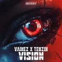 Cover of Vision