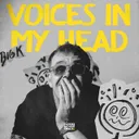 Cover of VOICES IN MY HEAD