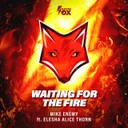 Cover of Waiting For The Fire