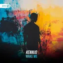 Cover of Wake Me