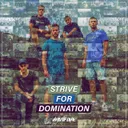 Strive For Domination by Warface, D-Sturb, Delete, Killshot, Artifact, Carola - Hardstyle cover art