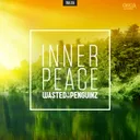 Inner Peace by Wasted Penguinz - Hardstyle cover art