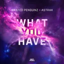 What You Have by Wasted Penguinz, Astrak - Hardstyle cover art