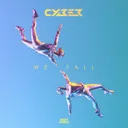 Cover of We Fall