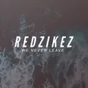 Cover of We Never Leave - Radio Edit