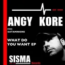 Cover of What Do You Want (Original Mix)
