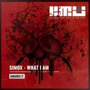 Cover of What I Am - Radio Edit