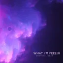 Cover of What I'm Feelin