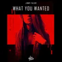 Cover of What You Wanted