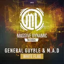 Cover of White Flag - Point Blank Radio Edit