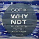 Cover of Why Not - Minitronix Remix