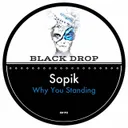 Cover of Why You Standing