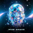 Cover of Wide Awake