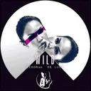 Cover of Wild