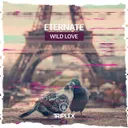 Cover of Wild Love