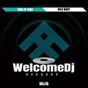 Cover of Wild Night