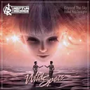 Beyond The Sky - Pro Mix by Wild Specs - Hardstyle cover art