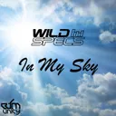 In My Sky by Wild Specs - Rawstyle cover art