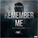 Remember Me - Wild Specs Remix Edit by Wild Specs, TeCay - Hardstyle cover art
