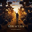 Miracles - Extended by Wildness Project - Hardstyle cover art