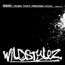 Push That Feeling - Special Thanks to Charlotte by Wildstylez - Hardstyle cover art