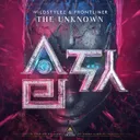 The Unknown by Wildstylez, Frontliner - Hardstyle cover art