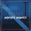 Cover of Winter Nights
